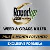 imageRoundup Dual Action Weed ampamp Grass Killer Plus 4 Month Preventer Refill 125 gal1 gal