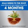 imageRoundup Dual Action Weed ampamp Grass Killer Plus 4 Month Preventer Refill 125 gal1 gal