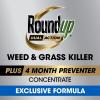imageRoundup Dual Action Weed ampamp Grass Killer Plus 4 Month Preventer Refill 125 gal32 oz