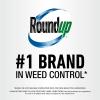 imageRoundup Poison Ivy Plus Tough Brush Killer Concentrate Visible Results in Hours 32 fl oz