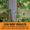 imageRoundup Poison Ivy Plus Tough Brush Killer Concentrate Visible Results in Hours 32 fl oz