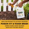 imageRoundup Poison Ivy Plus Tough Brush Killer with Comfort Wand Visible Results in Hours 1 galTrigger