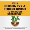 imageRoundup ReadytoUse Poison Ivy Plus Tough Brush Killer with Comfort Wand 133 gal