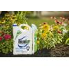 imageRoundup ReadytoUse Weed ampamp Grass Killer III  with Sure Shot Wand Use in ampamp Around Vegetable Gardens Tree Rings Flower Beds Patios ampamp More Kills to The Root 133 galSure Shot Wand