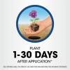 imageRoundup Weed ampamp Grass Killer Refill Use in and Around Flower Beds Trees Driveways Walkways ampamp More 125 gal1 gal Pack of 2