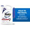 imageRoundup Weed and Grass Killer Concentrate Use in and Around Flower Beds Walkways and Other Areas of Your Yard 352 fl oz1 gal
