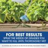 imageRoundup Weed and Grass Killer Concentrate Use in and Around Flower Beds Walkways and Other Areas of Your Yard 352 fl oz1 gal