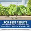 imageRoundup Weed and Grass Killer Concentrate Use in and Around Flower Beds Walkways and Other Areas of Your Yard 352 fl oz1 gal