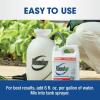 imageRoundup Weed and Grass Killer Concentrate Use in and Around Flower Beds Walkways and Other Areas of Your Yard 352 fl oz1 gal