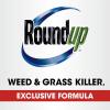 imageRoundup Weed and Grass Killer Concentrate Use in and Around Flower Beds Walkways and Other Areas of Your Yard 352 fl oz1 gal