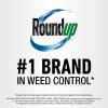 imageRoundup Weed and Grass Killer Concentrate Use in and Around Flower Beds Walkways and Other Areas of Your Yard 352 fl oz1 gal