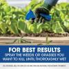 imageRoundup Weed and Grass Killer Concentrate Use in and Around Flower Beds Walkways and Other Areas of Your Yard 352 fl oz1 gal