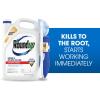 imageRoundup Weed and Grass Killer Concentrate Use in and Around Flower Beds Walkways and Other Areas of Your Yard 352 fl oz1 gal
