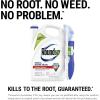 imageRoundup Weed and Grass Killer Concentrate Use in and Around Flower Beds Walkways and Other Areas of Your Yard 352 fl oz1 gal