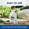 imageRoundup Weed and Grass Killer Concentrate Use in and Around Flower Beds Walkways and Other Areas of Your Yard 352 fl oz16 oz
