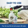 imageRoundup Weed and Grass Killer Concentrate Use in and Around Flower Beds Walkways and Other Areas of Your Yard 352 fl oz352 oz
