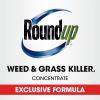 imageRoundup Weed and Grass Killer Concentrate Use in and Around Flower Beds Walkways and Other Areas of Your Yard 352 fl oz352 oz