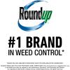 imageRoundup Weed and Grass Killer Concentrate Use in and Around Flower Beds Walkways and Other Areas of Your Yard 352 fl oz64 oz