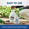 imageRoundup Weed and Grass Killer Concentrate Use in and Around Flower Beds Walkways and Other Areas of Your Yard 352 fl oz64 oz