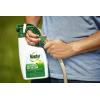 imageRoundup for Lawns1 Refill Northern 125 gal  Lawn Safe Weed Killer for Northern Lawns  Kills Crabgrass Dandelion Clover and Yellow Nutsedge  Kills Weeds Not The LawnReady to Spray