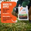 imageRoundup for Lawns1 Refill Northern 125 gal  Lawn Safe Weed Killer for Northern Lawns  Kills Crabgrass Dandelion Clover and Yellow Nutsedge  Kills Weeds Not The LawnCrabgrass Destroyer