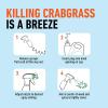 imageRoundup for Lawns1 Refill Northern 125 gal  Lawn Safe Weed Killer for Northern Lawns  Kills Crabgrass Dandelion Clover and Yellow Nutsedge  Kills Weeds Not The LawnCrabgrass Destroyer