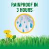 imageRoundup for Lawns1 Refill Northern 125 gal  Lawn Safe Weed Killer for Northern Lawns  Kills Crabgrass Dandelion Clover and Yellow Nutsedge  Kills Weeds Not The Lawn2 Pack 32oz
