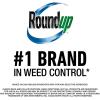 imageRoundup for Lawns1 Refill Northern 125 gal  Lawn Safe Weed Killer for Northern Lawns  Kills Crabgrass Dandelion Clover and Yellow Nutsedge  Kills Weeds Not The Lawn2 Pack 32oz