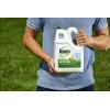 imageRoundup for Lawns1 Refill Northern 125 gal  Lawn Safe Weed Killer for Northern Lawns  Kills Crabgrass Dandelion Clover and Yellow Nutsedge  Kills Weeds Not The LawnRefill