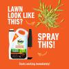 imageRoundup for Lawns1 Refill Northern 125 gal  Lawn Safe Weed Killer for Northern Lawns  Kills Crabgrass Dandelion Clover and Yellow Nutsedge  Kills Weeds Not The LawnCrabgrass Destroyer