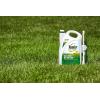 imageRoundup for Lawns1 Refill Northern 125 gal  Lawn Safe Weed Killer for Northern Lawns  Kills Crabgrass Dandelion Clover and Yellow Nutsedge  Kills Weeds Not The LawnComfort Wand