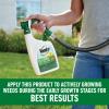 imageRoundup for Lawns1 Refill Northern 125 gal  Lawn Safe Weed Killer for Northern Lawns  Kills Crabgrass Dandelion Clover and Yellow Nutsedge  Kills Weeds Not The Lawn2 Pack 32oz