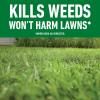 imageRoundup for Lawns1 Refill Northern 125 gal  Lawn Safe Weed Killer for Northern Lawns  Kills Crabgrass Dandelion Clover and Yellow Nutsedge  Kills Weeds Not The Lawn2 Pack 32oz