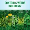 imageRoundup for Lawns1 Refill Northern 125 gal  Lawn Safe Weed Killer for Northern Lawns  Kills Crabgrass Dandelion Clover and Yellow Nutsedge  Kills Weeds Not The Lawn2 Pack 32oz