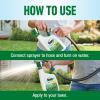 imageRoundup for Lawns1 Refill Northern 125 gal  Lawn Safe Weed Killer for Northern Lawns  Kills Crabgrass Dandelion Clover and Yellow Nutsedge  Kills Weeds Not The Lawn2 Pack 32oz