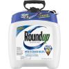 imageRoundup ReadytoUse Weed ampamp Grass Killer III  with Sure Shot Wand Use in ampamp Around Vegetable Gardens Tree Rings Flower Beds Patios ampamp More Kills to The Root 133 galPump N Go