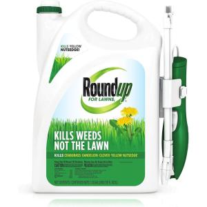 imageRoundup for Lawns1 Refill Northern 125 gal  Lawn Safe Weed Killer for Northern Lawns  Kills Crabgrass Dandelion Clover and Yellow Nutsedge  Kills Weeds Not The LawnComfort Wand