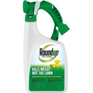 imageRoundup for Lawns1 Refill Northern 125 gal  Lawn Safe Weed Killer for Northern Lawns  Kills Crabgrass Dandelion Clover and Yellow Nutsedge  Kills Weeds Not The LawnReady to Spray