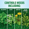 image:imageRoundup Dual Action Weed and Grass Killer Plus 4 Month Preventer with Sure Shot Wand Liquid 133 gal SilverDual Action  Southern Lawns
