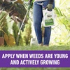 image:imageRoundup Dual Action Weed and Grass Killer Plus 4 Month Preventer with Sure Shot Wand Liquid 133 gal SilverDual Action  Southern Lawns