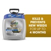 image:imageRoundup Dual Action Weed and Grass Killer Plus 4 Month Preventer with Sure Shot Wand Liquid 133 gal SilverPump N Go