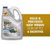 image:imageRoundup Dual Action Weed and Grass Killer Plus 4 Month Preventer with Sure Shot Wand Liquid 133 gal SilverRefill