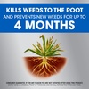 image:imageRoundup Dual Action Weed and Grass Killer Plus 4 Month Preventer with Sure Shot Wand Liquid 133 gal SilverRefill