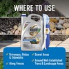 image:imageRoundup Dual Action Weed and Grass Killer Plus 4 Month Preventer with Sure Shot Wand Liquid 133 gal SilverWand