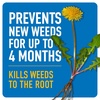image:imageRoundup Dual Action Weed and Grass Killer Plus 4 Month Preventer with Sure Shot Wand Liquid 133 gal SilverWand