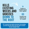 image:imageRoundup Dual Action Weed and Grass Killer Plus 4 Month Preventer with Sure Shot Wand Liquid 133 gal SilverWand